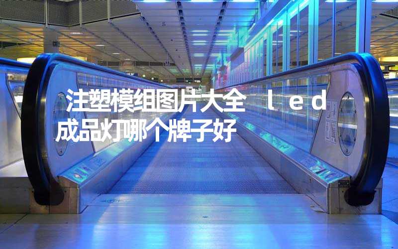 注塑模组图片大全 led成品灯哪个牌子好